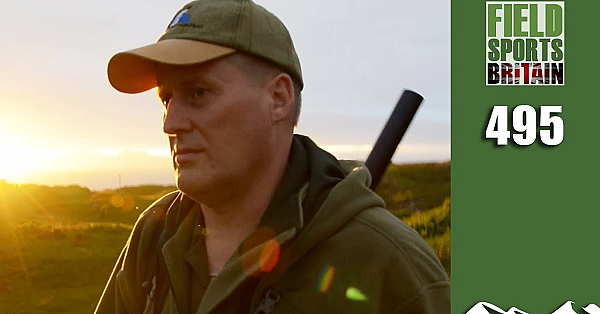 Fieldsports Britain - Marauding Stags