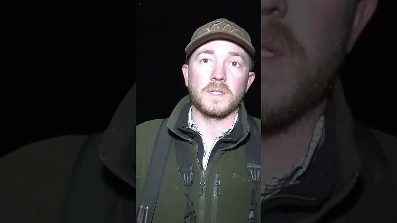 Tom Davies Shooting Foxes On Dartmoor.  #fieldsports #hunting