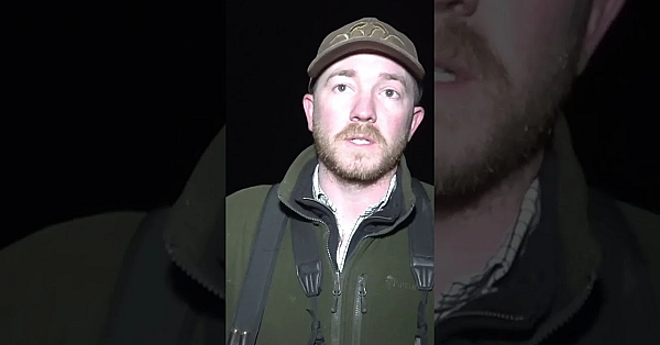 Tom Davies Shooting Foxes On Dartmoor.  #fieldsports #hunting