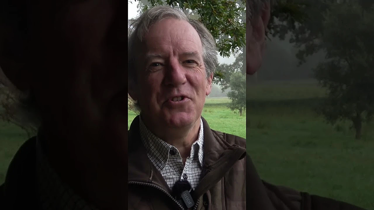 How To Stop A Charging Buffalo  #fieldsportsbritain