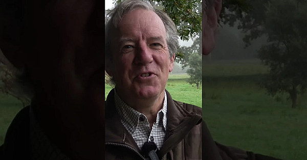 How To Stop A Charging Buffalo  #fieldsportsbritain