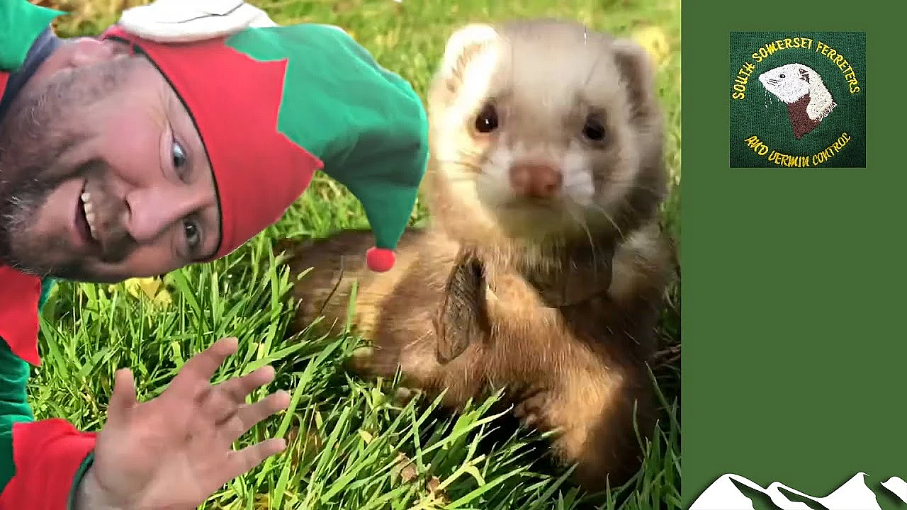 South Somerset Ferreters' 2019 Season