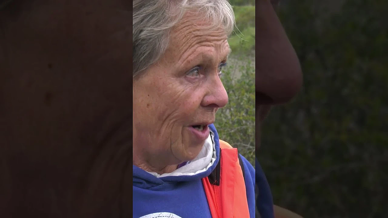Truffle Hunting With An Italian Water Dog  #fieldsports #hunting #fieldsportsbritain