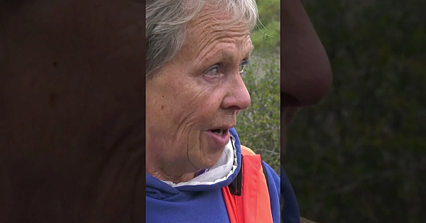 Truffle Hunting With An Italian Water Dog  #fieldsports #hunting #fieldsportsbritain