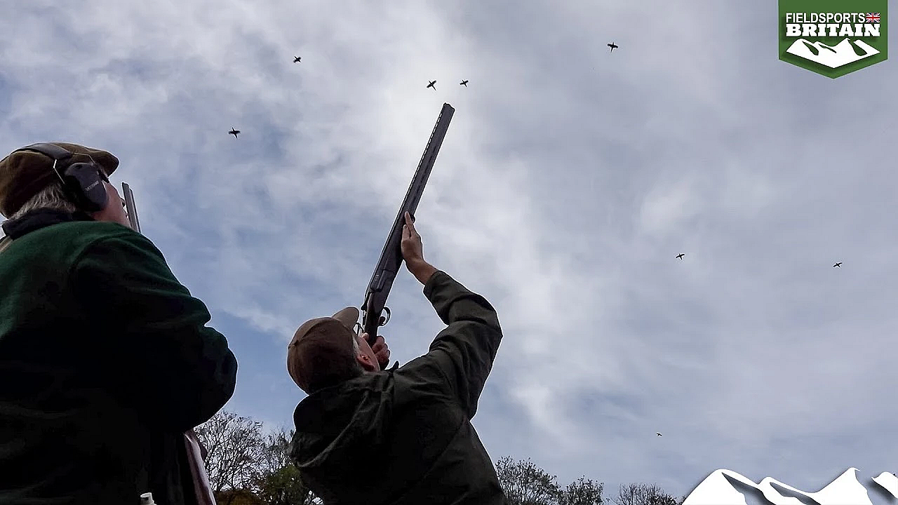 Magnificent Driven Game At Warter Priory
