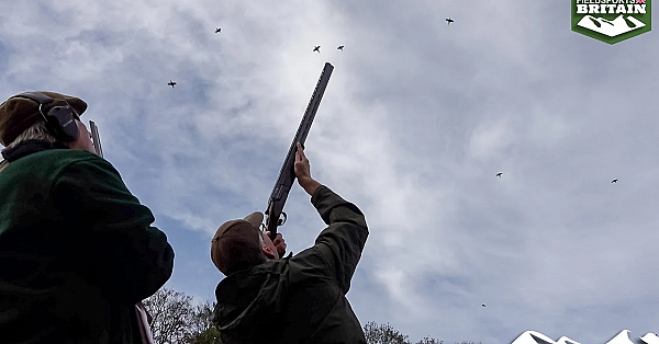 Magnificent Driven Game At Warter Priory