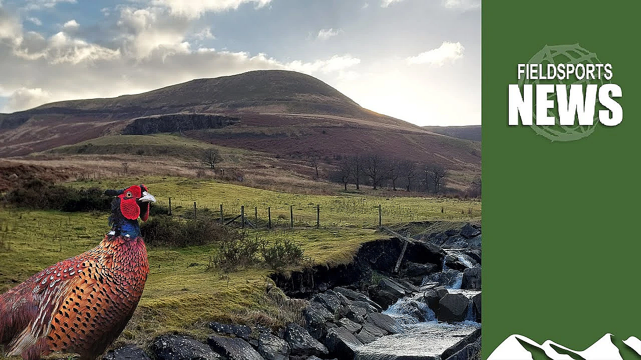 Game Shooting Under Attack In Wales