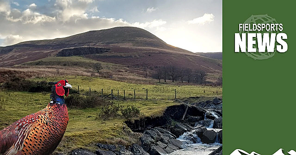 Game Shooting Under Attack In Wales