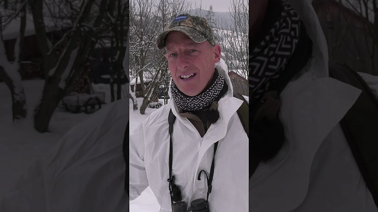 Hunting Huge Red Deer In The Snows Of #poland