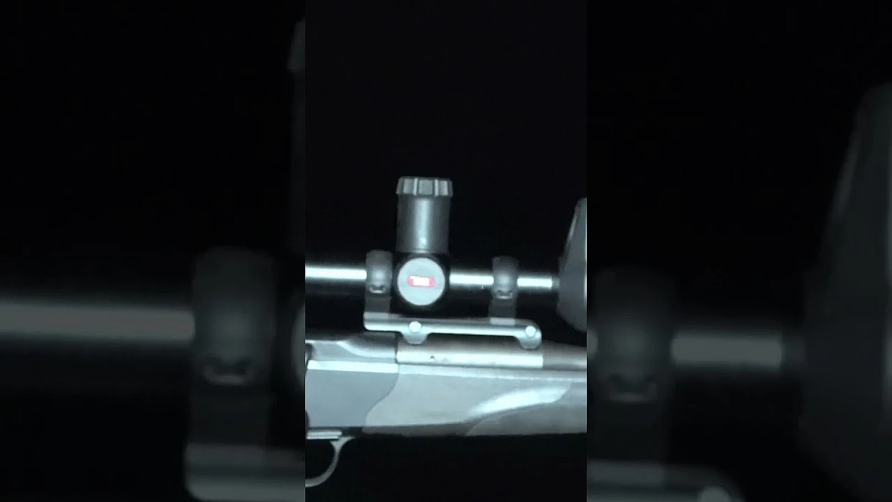 Pest Controller Tom Is Meant To Be Going Out After Foxes, But Things Go Wrong On A Stalking Trip.