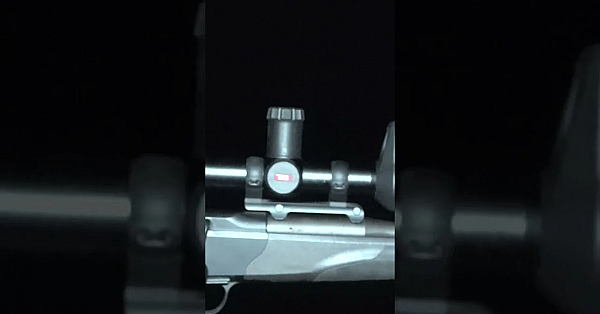 Pest Controller Tom Is Meant To Be Going Out After Foxes, But Things Go Wrong On A Stalking Trip.