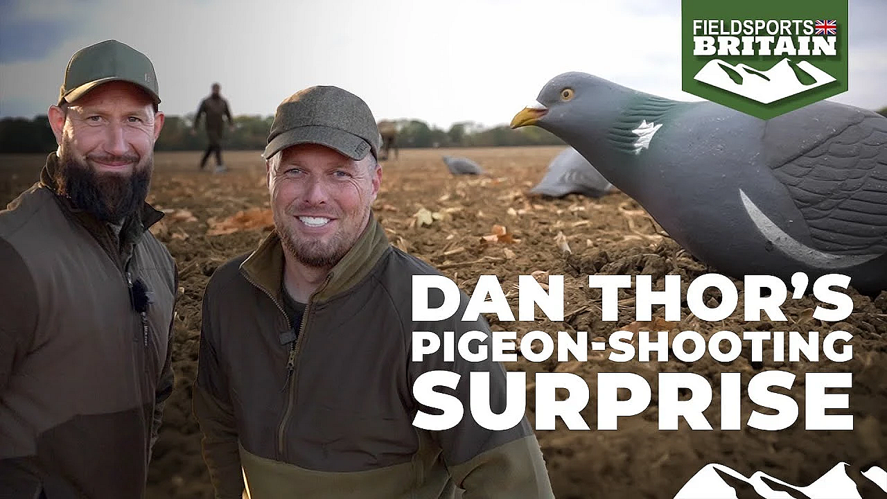 Dan Thor’s Pigeon-shooting Surprise