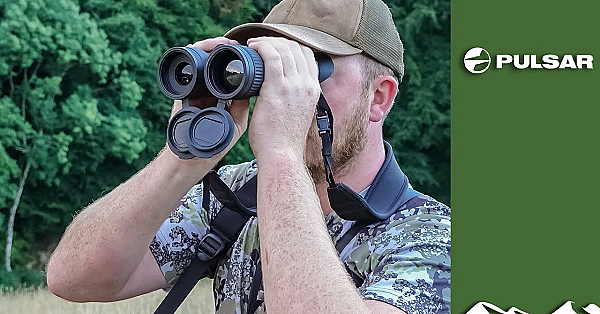 Fallow Buck Stalking With The New Pulsar Merger