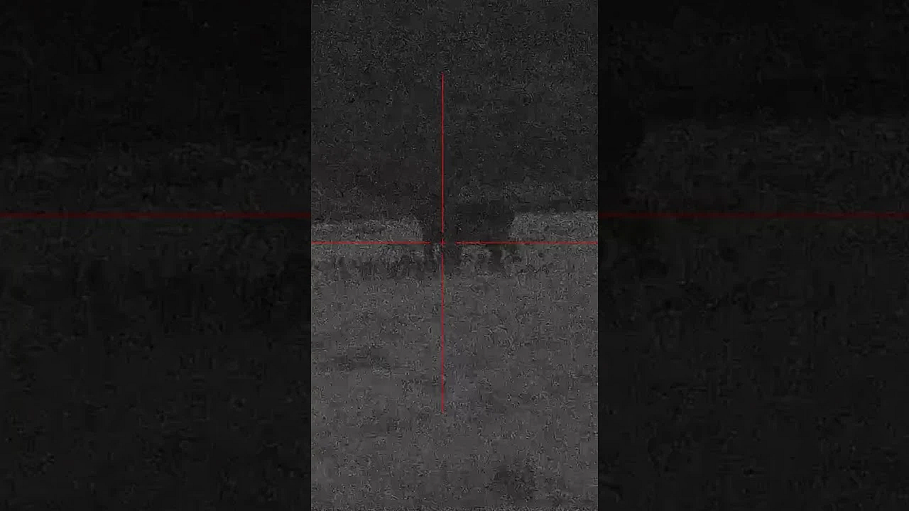 Grazing #fallow Spotted, But Is There Time? Cai's Out Putting The Hik Micro #alpex To The Test.