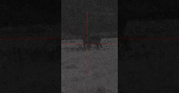 Grazing #fallow Spotted, But Is There Time? Cai's Out Putting The Hik Micro #alpex To The Test.