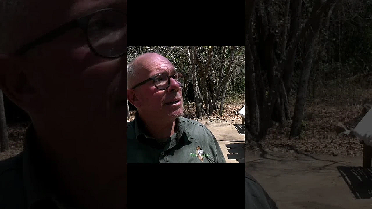 #mozambique The Harsh Reality Of #poaching &amp; The Snares Maiming Wildlife #fieldsportsbritain