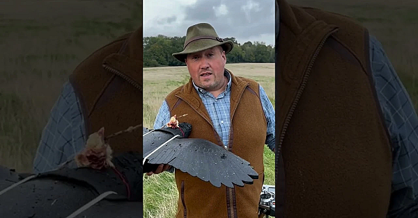 You're Invited! British #falcon Racing Association Rocrow Flying At Vowley 19/20 October 2024