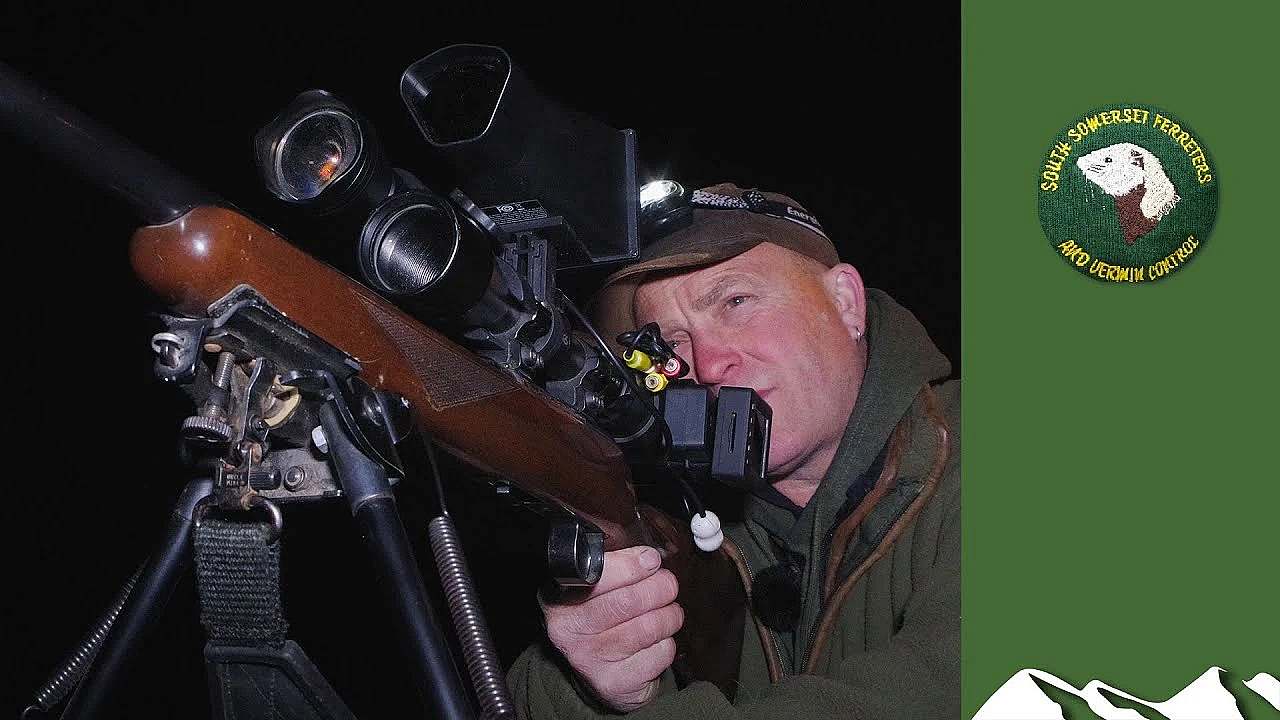 Big Night Rabbit-shooting