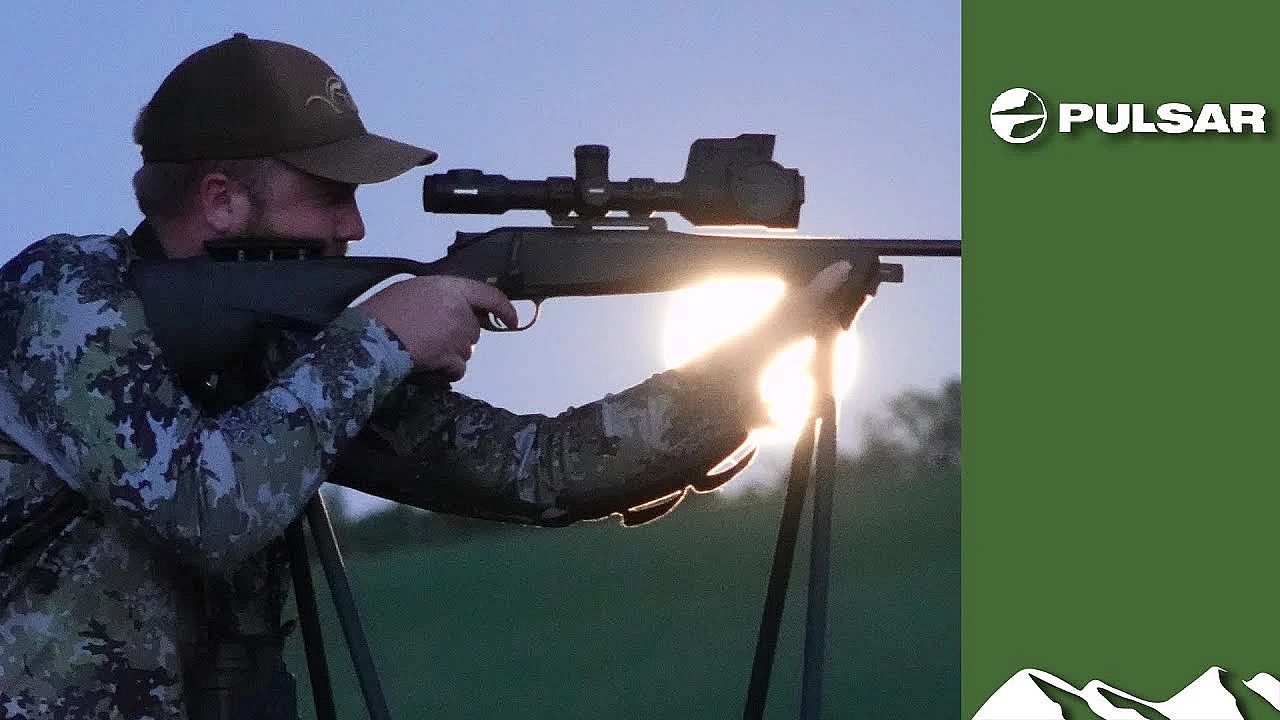 Four-fox Night With A Thermal Riflescope