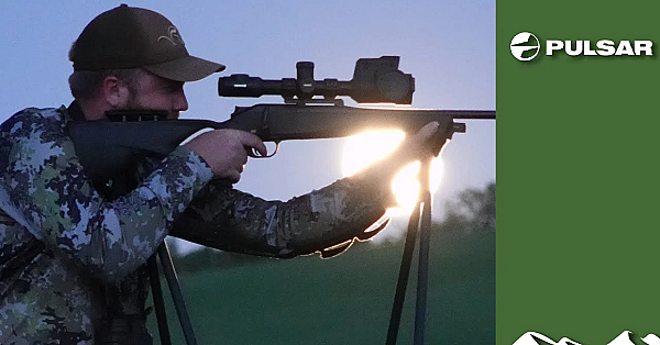 Four-fox Night With A Thermal Riflescope