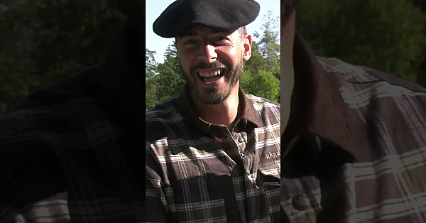 Rabbit Hell For Farmers But Heaven For Shooters  #fieldsports #hunting #fieldsportsbritain