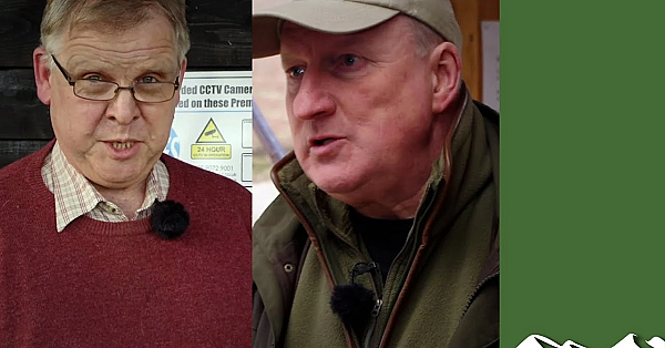 Head To Head On Lead Shot