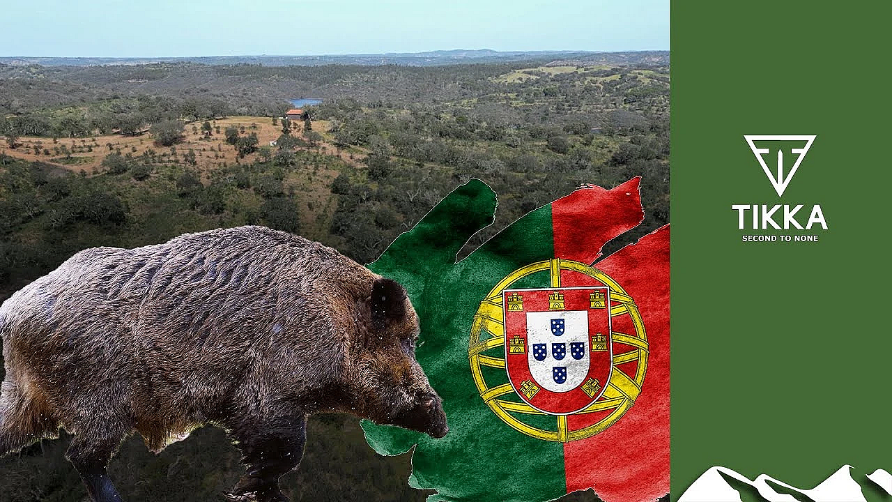 Roy's Portuguese Boar Hunt