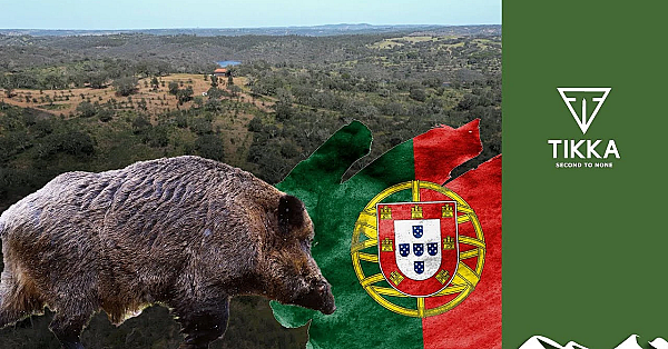 Roy's Portuguese Boar Hunt