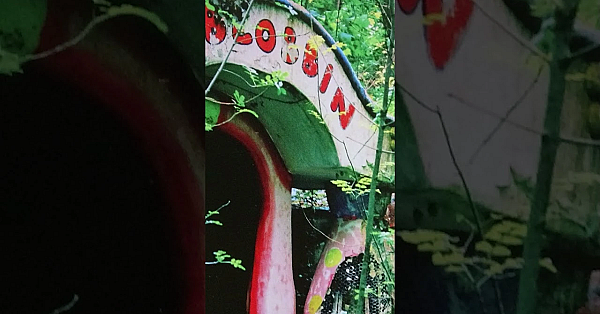 John From The Cricket St Thomas Gives An Update On Mr Blobby’s House.