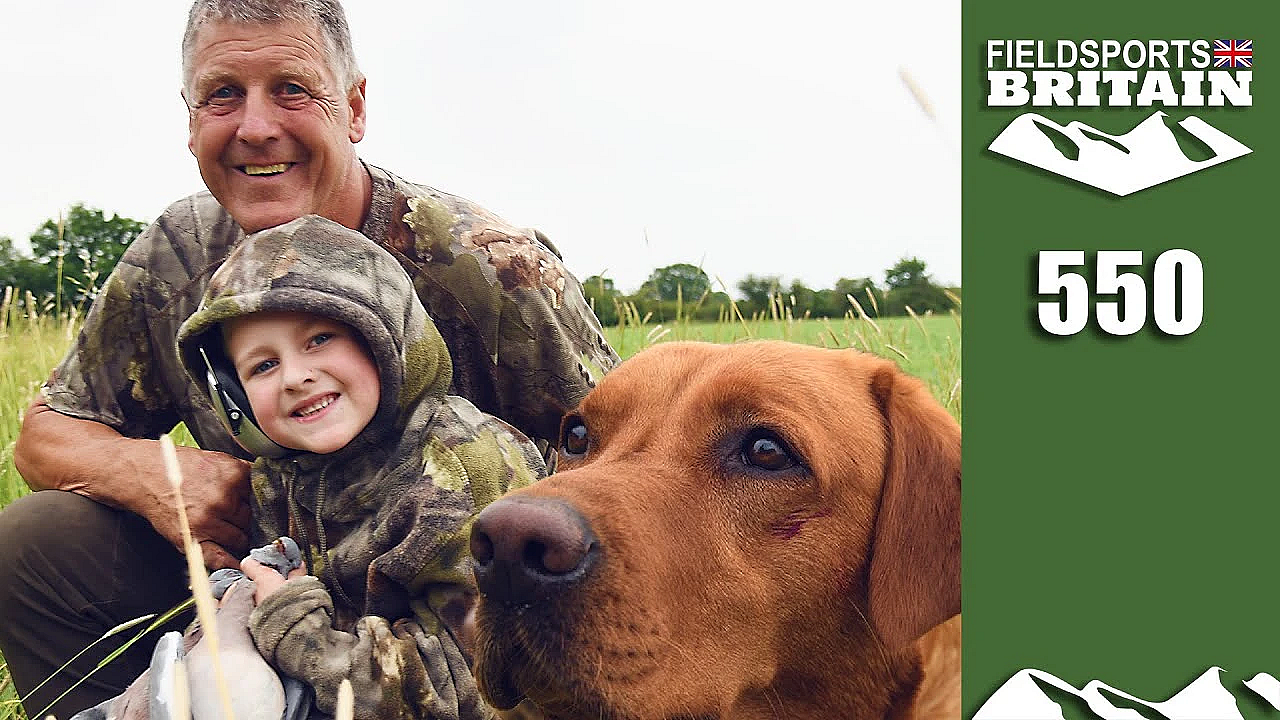 Fieldsports Britain - Crow Hits The Pigeons Hitting The Peas