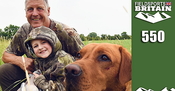 Fieldsports Britain - Crow Hits The Pigeons Hitting The Peas