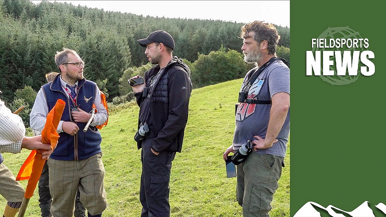 Antis: What To Do When They Hit