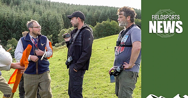 Antis: What To Do When They Hit