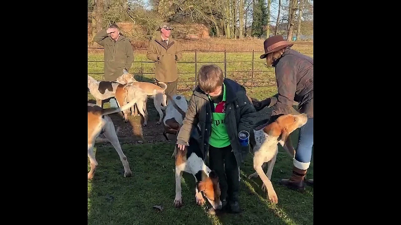 Meet the hounds. Meet the people. Celebrate the countryside.