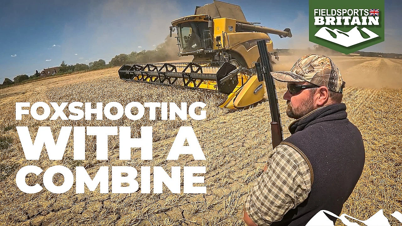 Combining for foxes