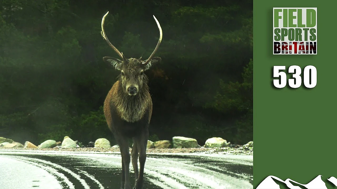 Fieldsports Britain - Demonising Deer