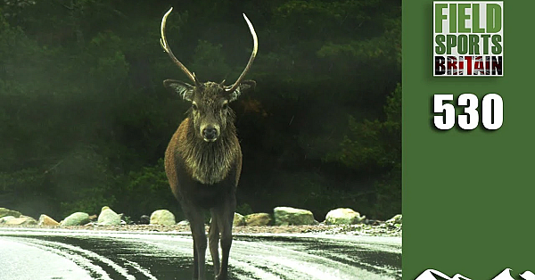 Fieldsports Britain - Demonising Deer