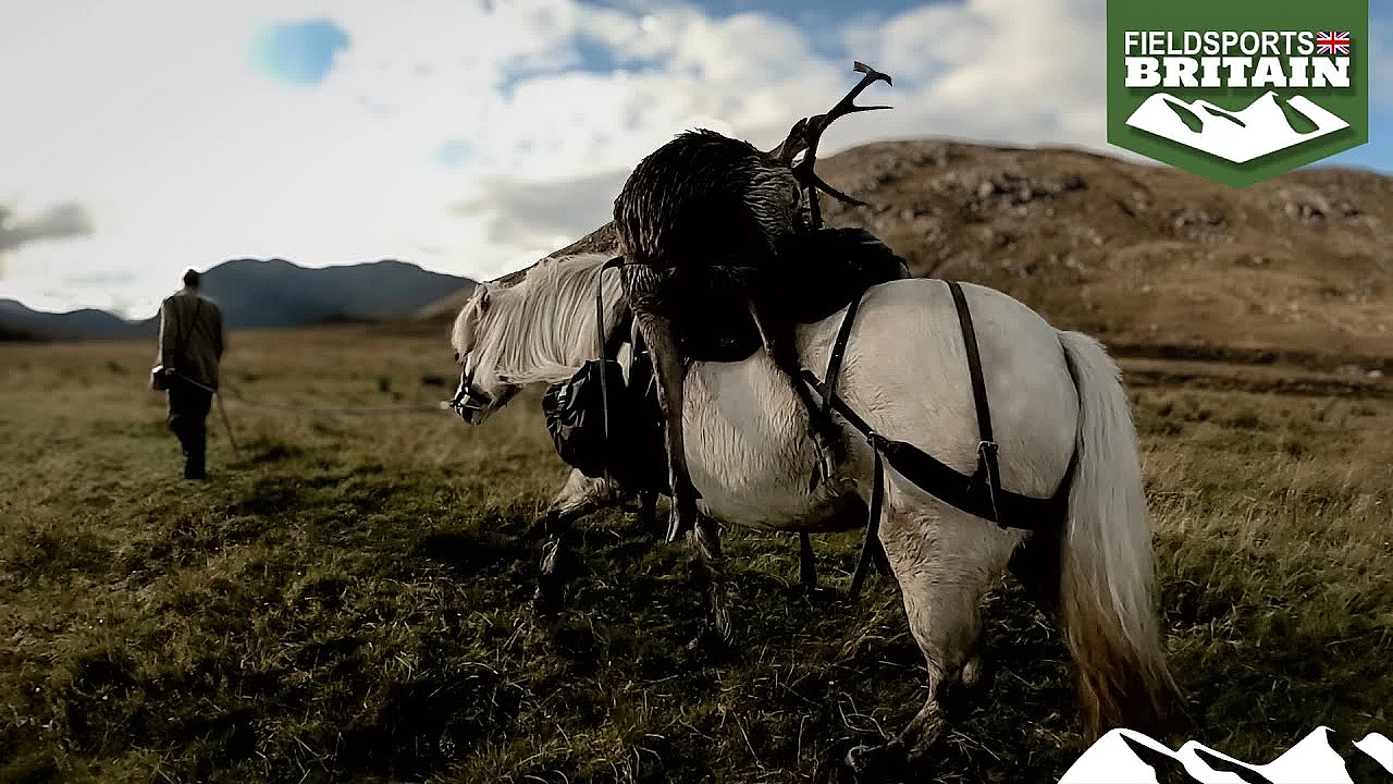 History Of The Highland Pony