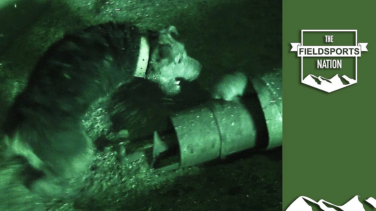 Smoke, Terriers And A Fountain Of Rats