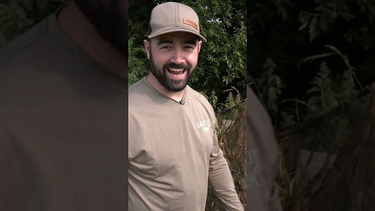 David And Cai Ap Bryn Are Pigeon Pluckers!