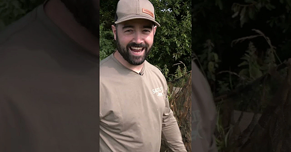 David And Cai Ap Bryn Are Pigeon Pluckers!