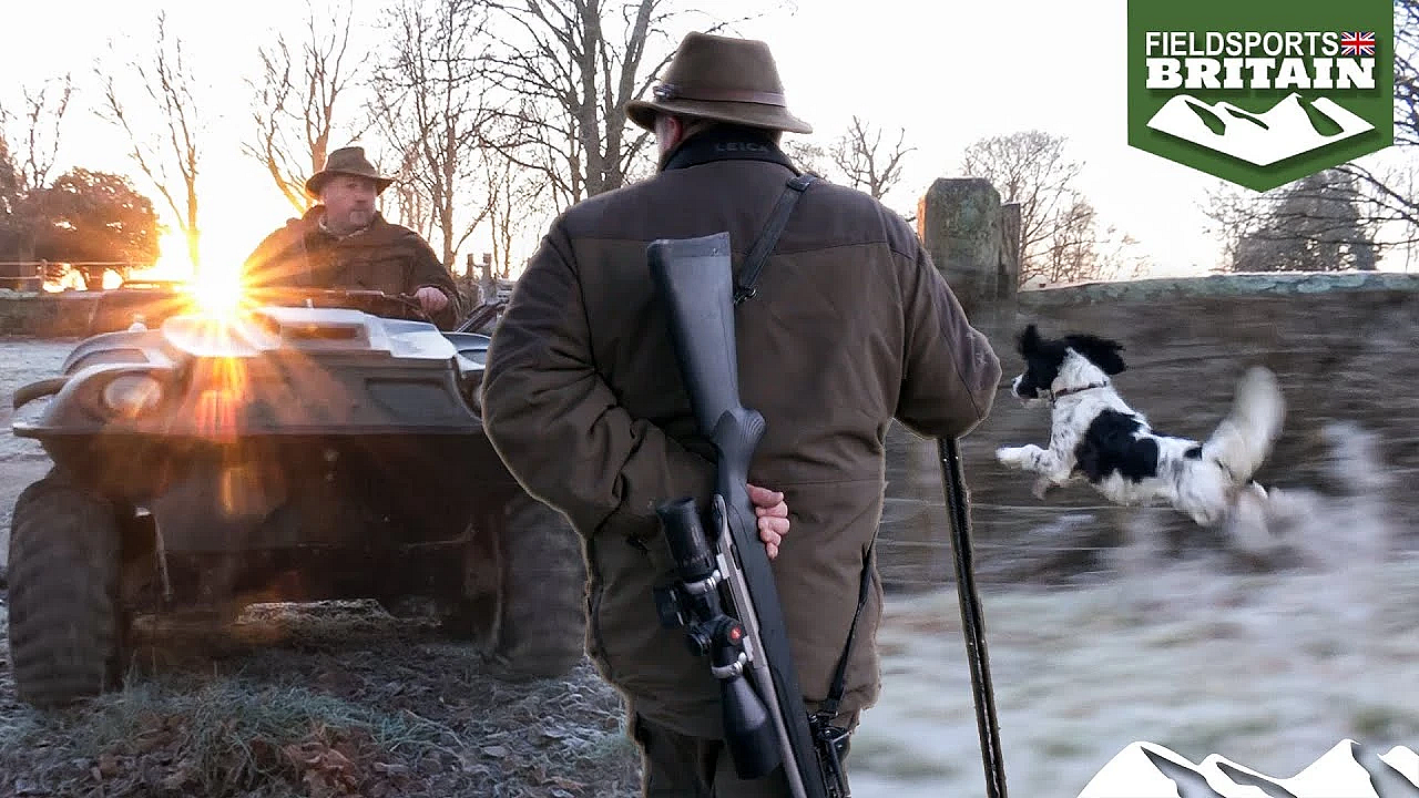 Deerstalking Among The Dogwalkers