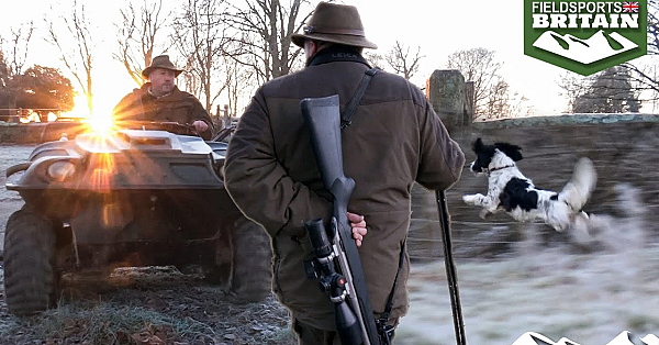 Deerstalking Among The Dogwalkers