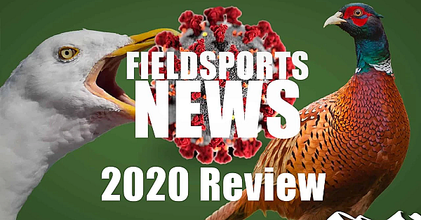 2020 Fieldsports News Review