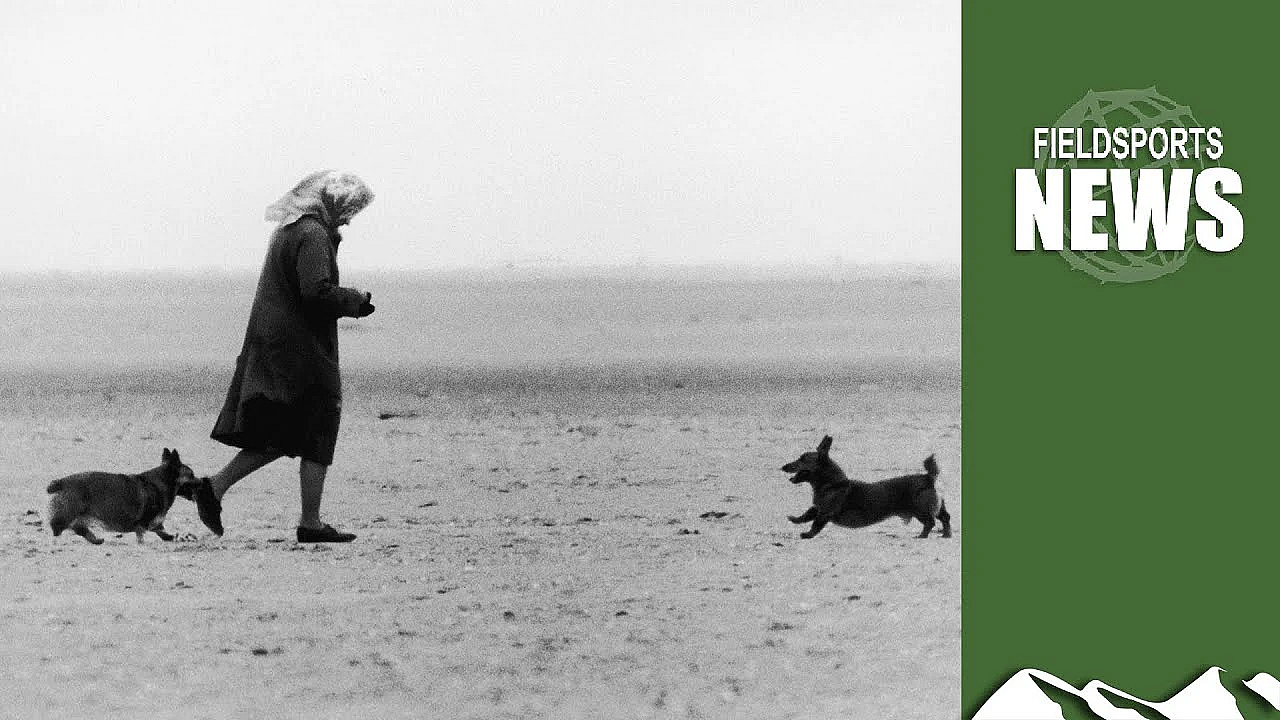 Hm Queen Elizabeth:a Country Life