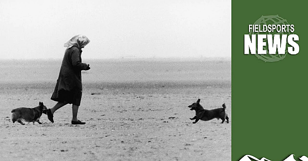 Hm Queen Elizabeth:a Country Life