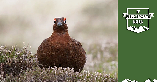 Grouseshooting: It's All About The People