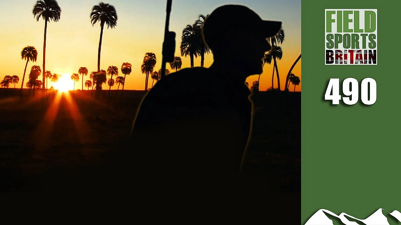 Fieldsports Britain - Hare Hunting In The Heat