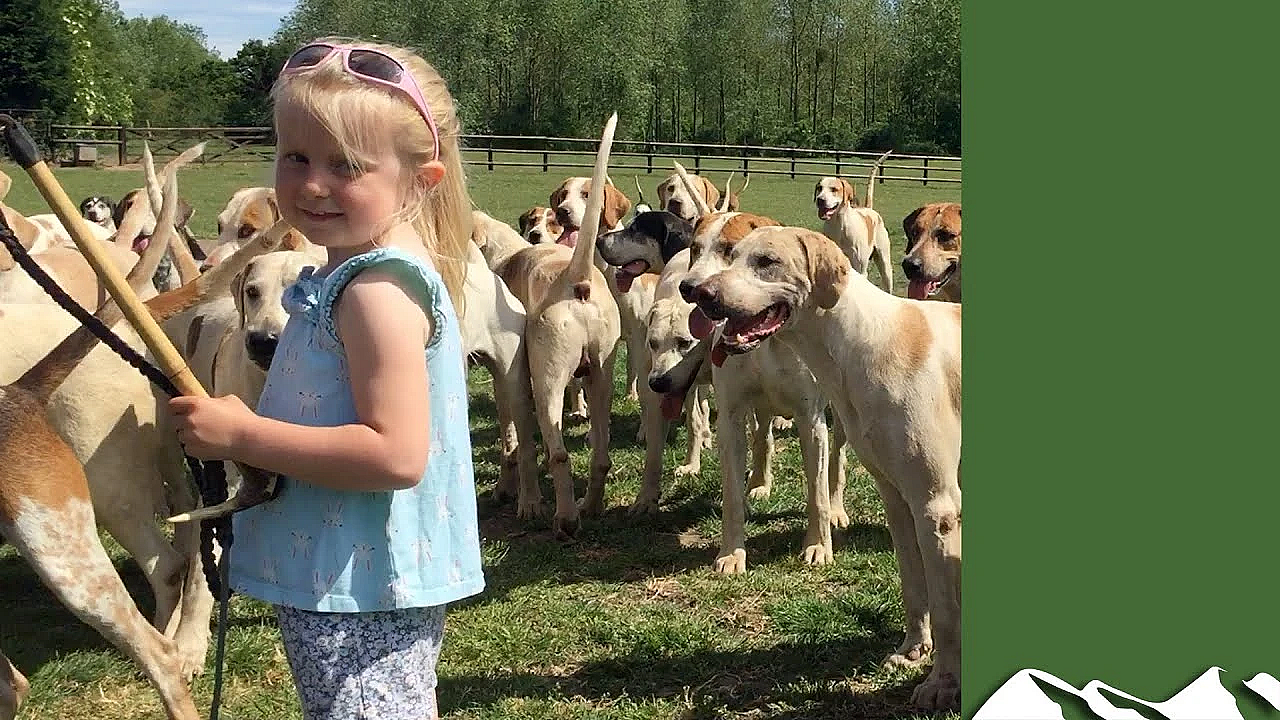 Hunting With Hounds After Lockdown
