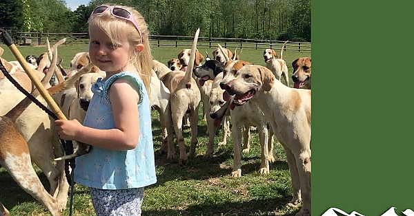 Hunting With Hounds After Lockdown